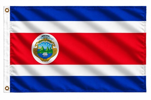 The flag company - flag,